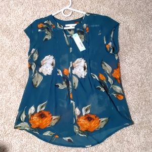 Woman's medium sheer shirt